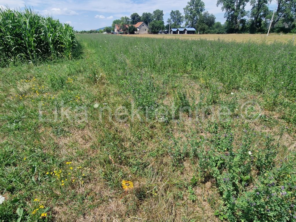 SINAC ( Otočac ) dva građevinska zemljišta po 15€/m2, povoljno (3)