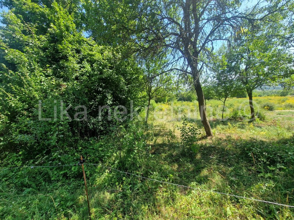 BRLOŠKA DUBRAVA ( Otočac ) - Građevinsko zemljište 3.233 m2 (3)