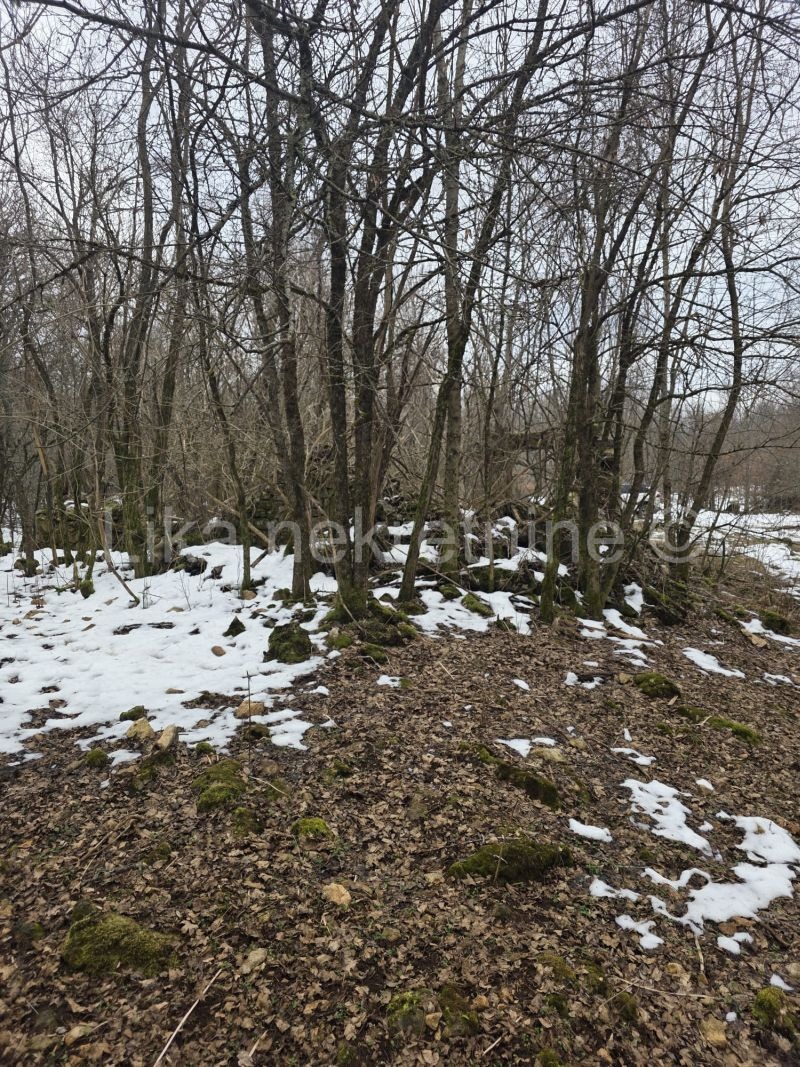 GOSPIĆ (Široka Kula) - Baufälliges Einfamilienhaus mit 48.000 m² Land (6)