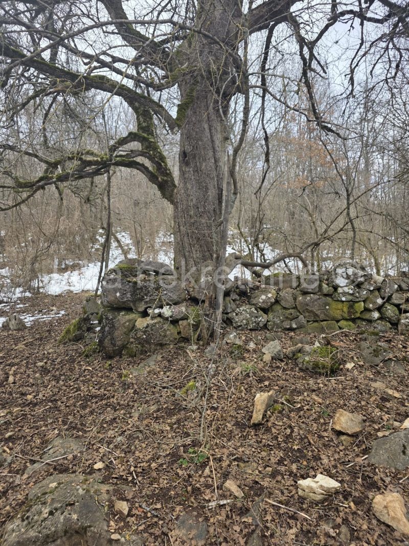 GOSPIĆ (Široka Kula) - Baufälliges Einfamilienhaus mit 48.000 m² Land (7)