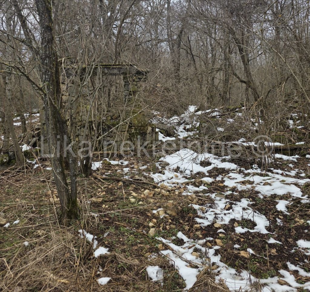 GOSPIĆ (Široka Kula) - Baufälliges Einfamilienhaus mit 48.000 m² Land (3)
