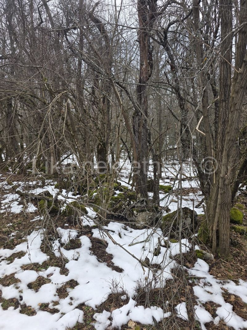GOSPIĆ (Široka Kula) - Baufälliges Einfamilienhaus mit 48.000 m² Land (9)
