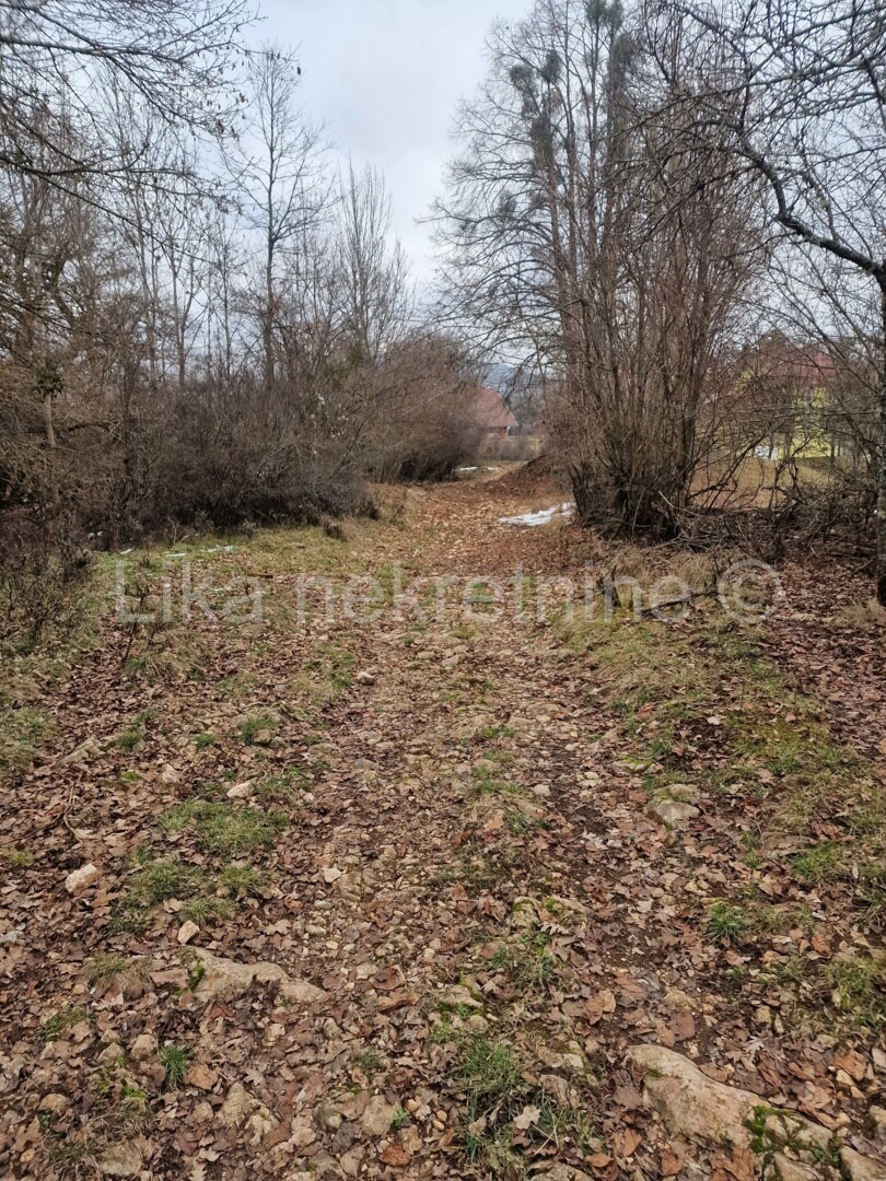 GOSPIĆ (Široka Kula) - Baufälliges Einfamilienhaus mit 48.000 m² Land (8)