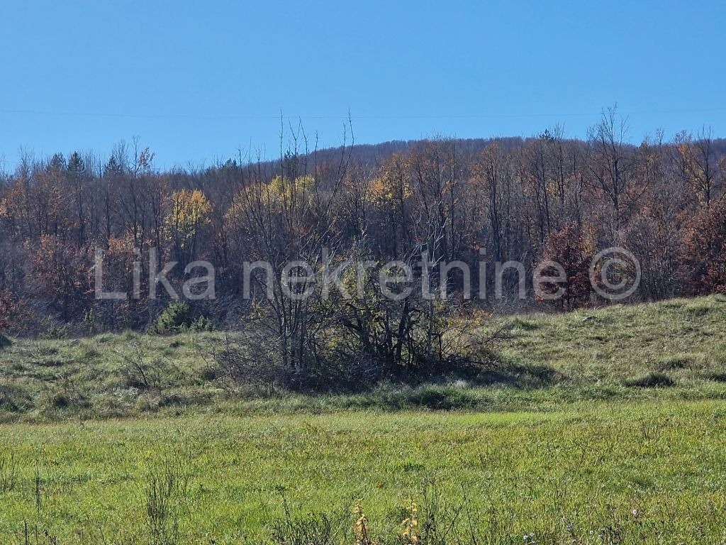LOVINAC - Ričice - Landwirtschaftliches Grundstück 9.370 m2 (3)