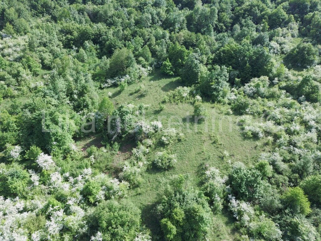 Plitvička Jezera, Smoljanac - Bau- und Agrarland, Wald (2)