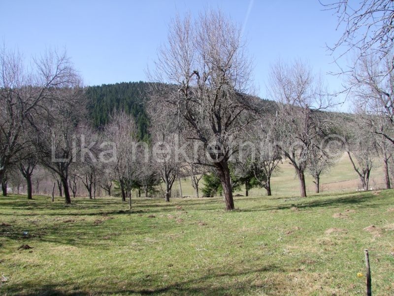GORNJE VRHOVINE - Landgut, Haus, Stall, Obstgarten (10)