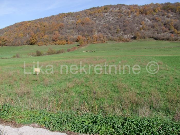 KOMPOLJE( Otočac )  - poljoprivredno zemljište (5)