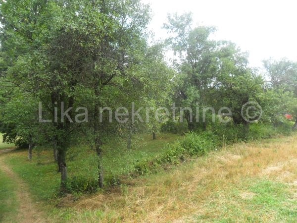 Otočac - Orovac, poljoprivredno zemljište - oranice (2)