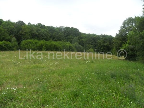 Otočac - Orovac, poljoprivredno zemljište - oranice (3)
