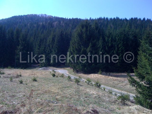 RAVNA GORA - zemljište za Planinarski dom (2)