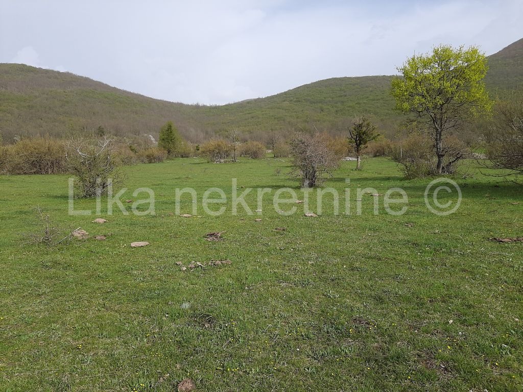 UDBINA - Komić - obiteljsko gospodarstvo (8)