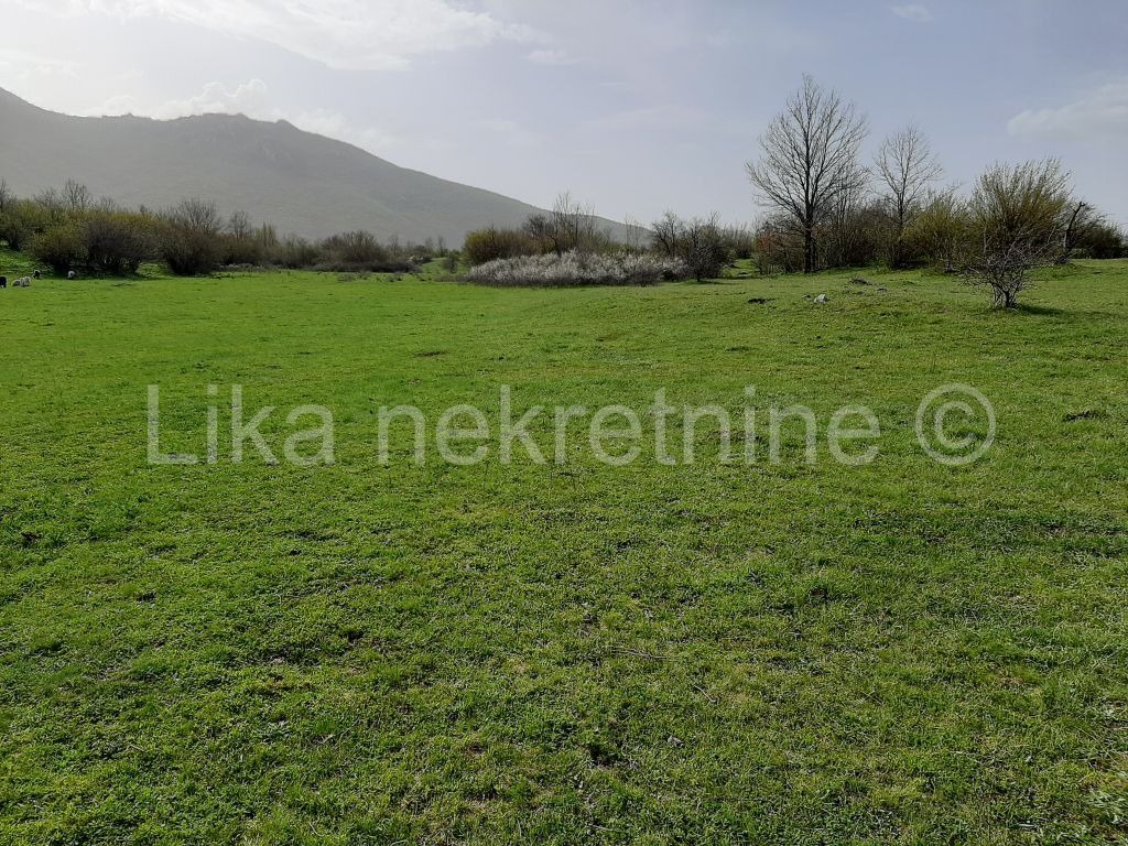 UDBINA - Komić - obiteljsko gospodarstvo (9)
