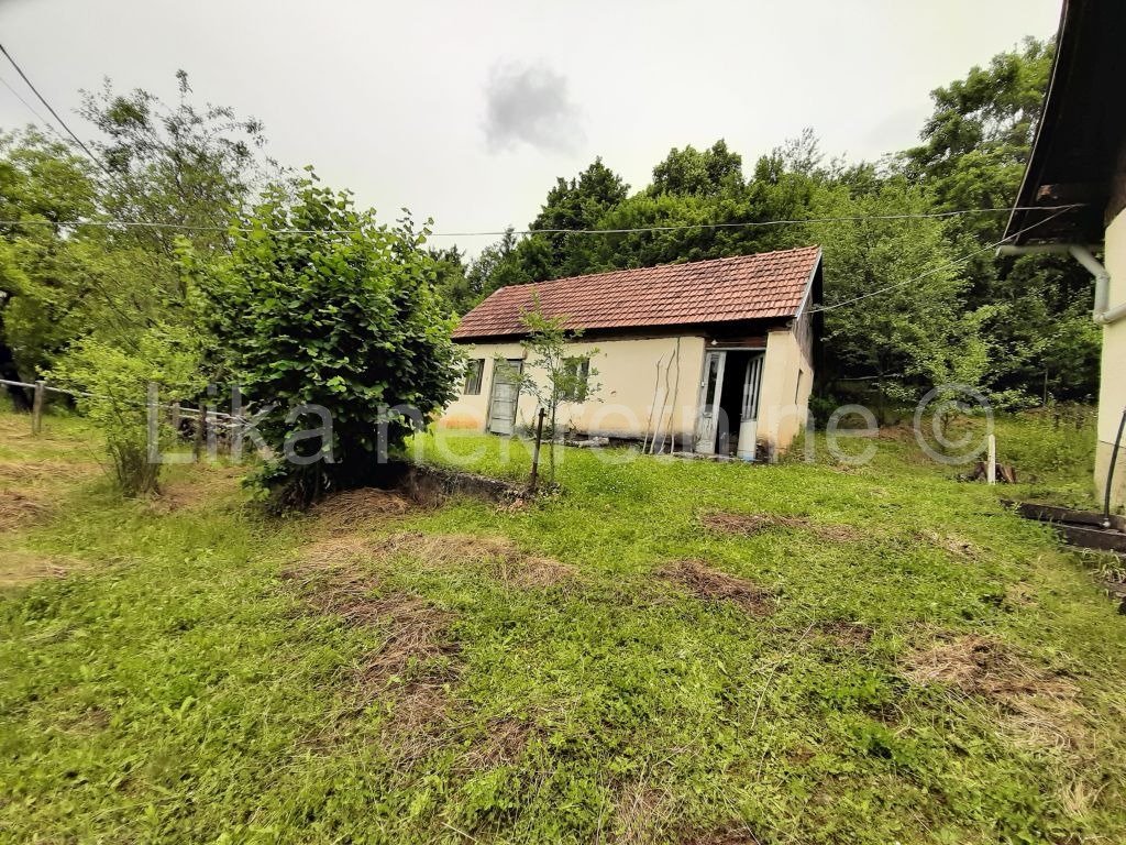 OTOČAC - Glavace - seosko gospodarstvo, 2 kuće i zemljište 40.000 m2 (9)