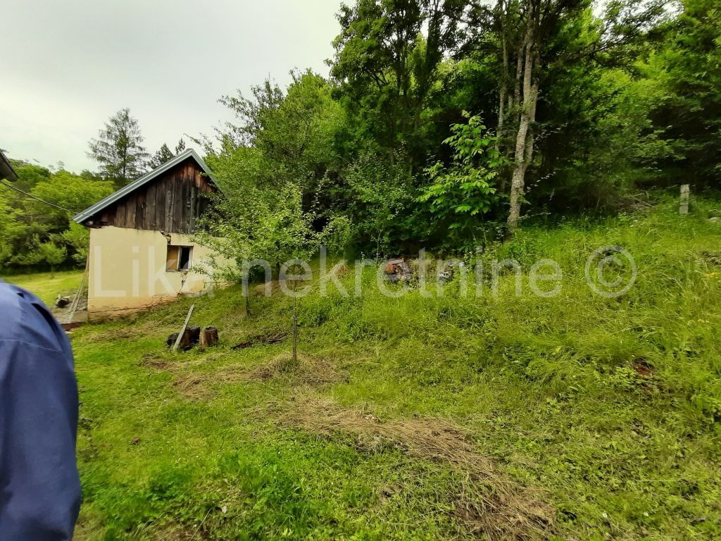 OTOČAC - Glavace - seosko gospodarstvo, 2 kuće i zemljište 40.000 m2 (8)