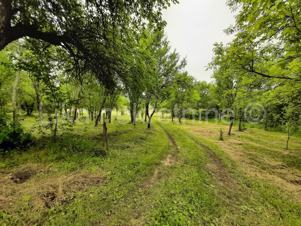 OTOČAC - Glavace - seosko gospodarstvo, 2 kuće i zemljište 40.000 m2 (13)