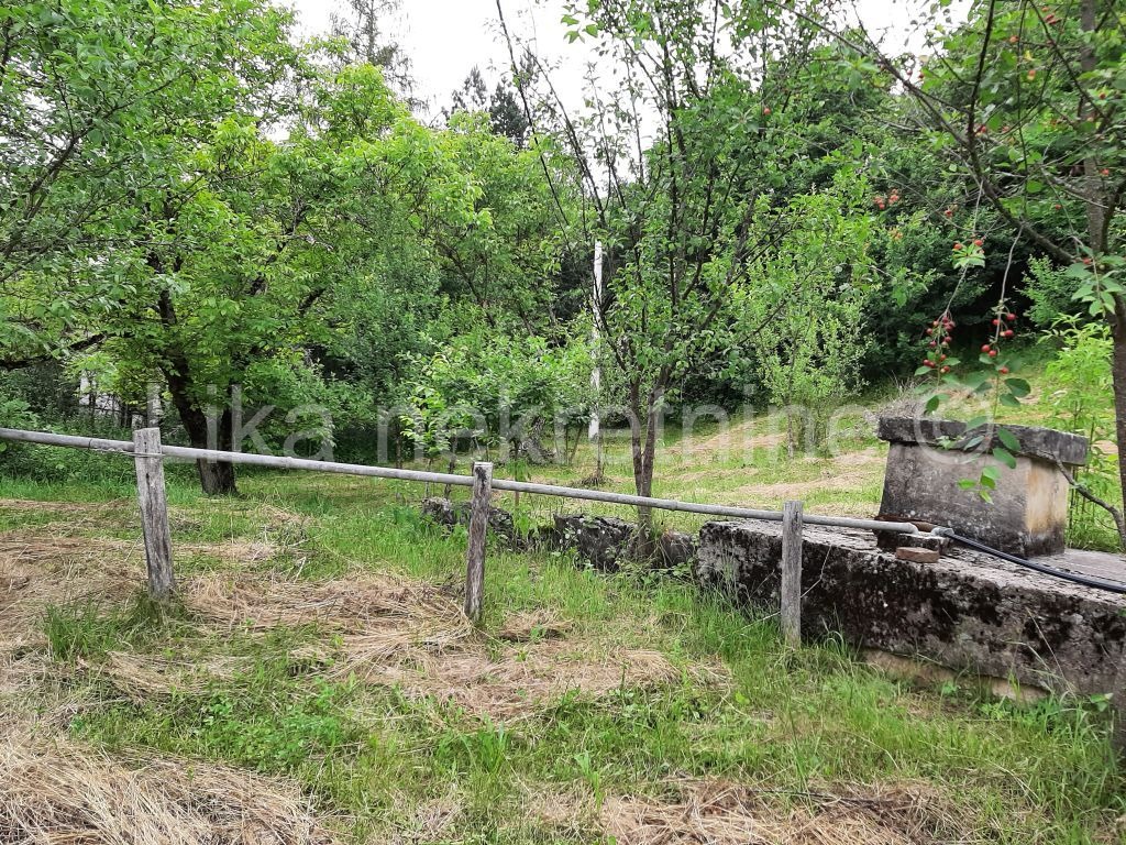 OTOČAC - Glavace - seosko gospodarstvo, 2 kuće i zemljište 40.000 m2 (11)