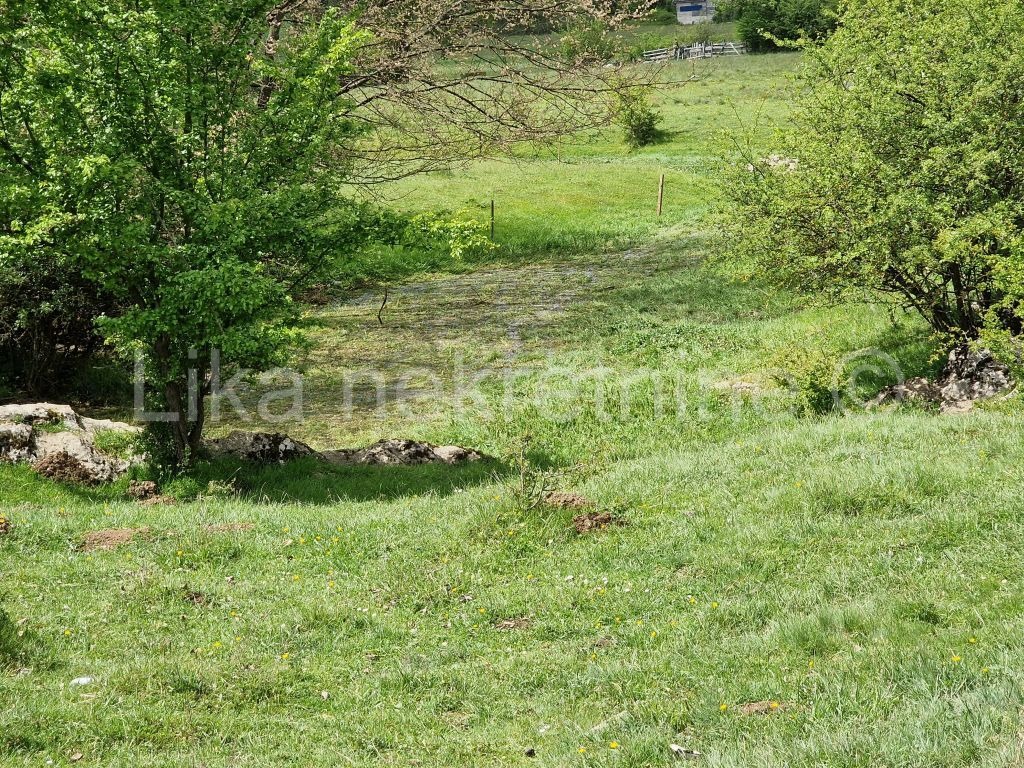 ČOVIĆI ( Otočac ) - pašnjak u blizini rijeke Gacke (2)