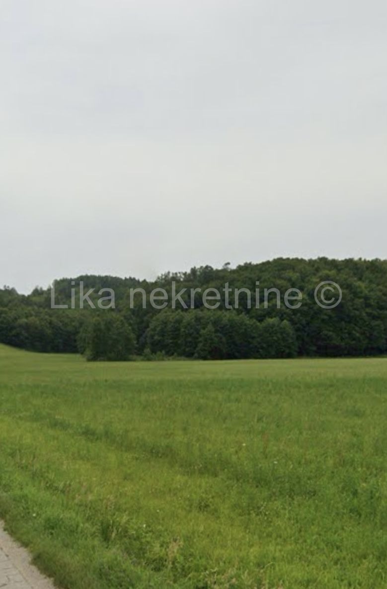 GORNJA ŽRVNICA Gojkovac 71.600m2 livada, pašnjaka i šume sa dva izvora