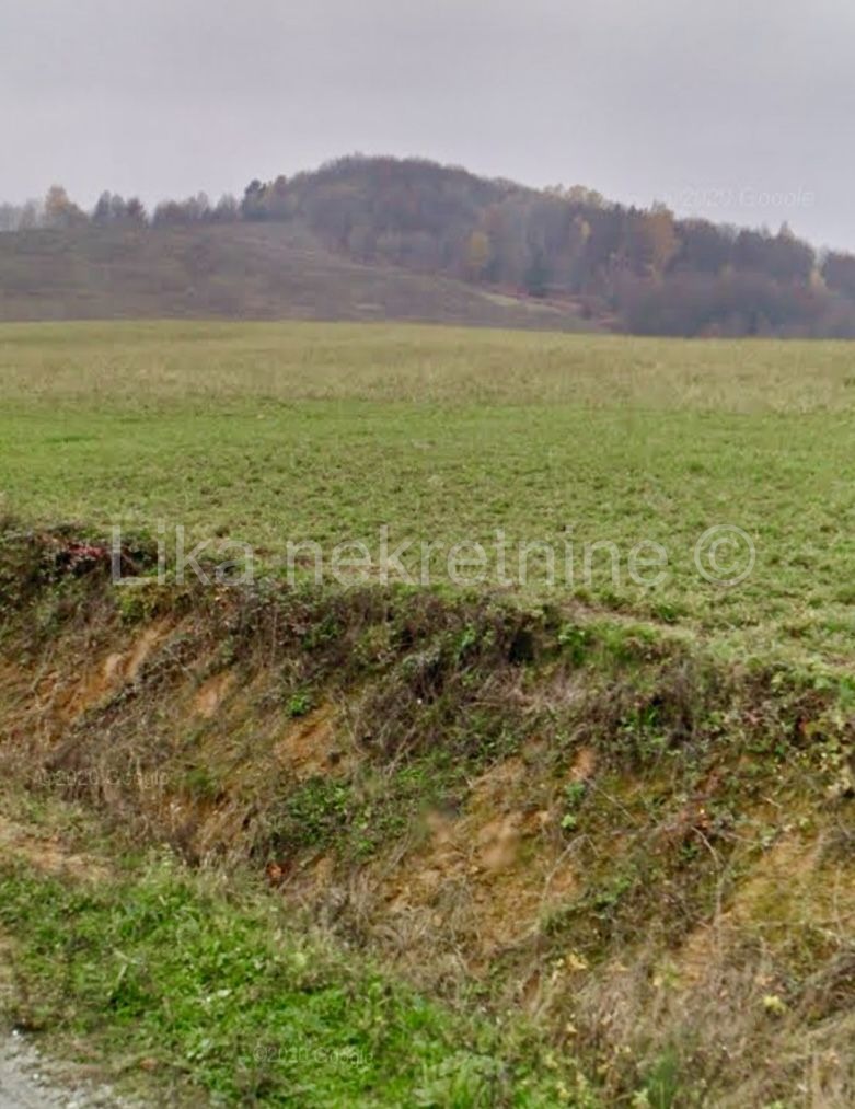 GORNJA ŽRVNICA Gojkovac 71.600m2 livada, pašnjaka i šume sa dva izvora (2)