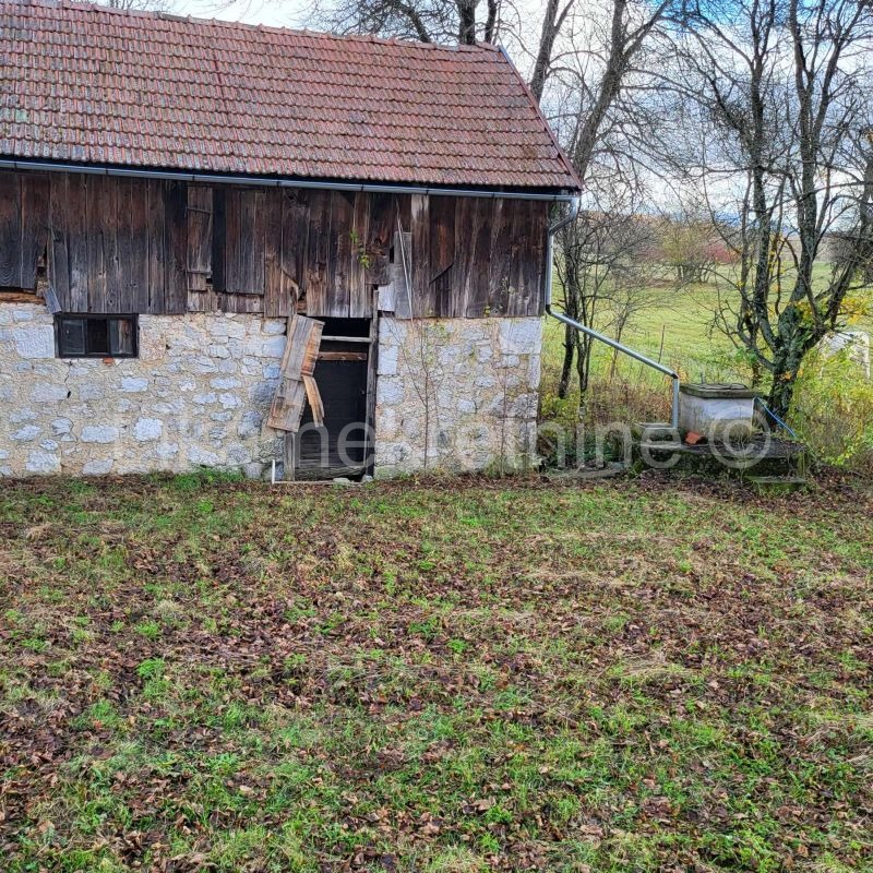 VODOTEČ ( Brinje ) - kuća prizemnica, dvorište i oranica (6)