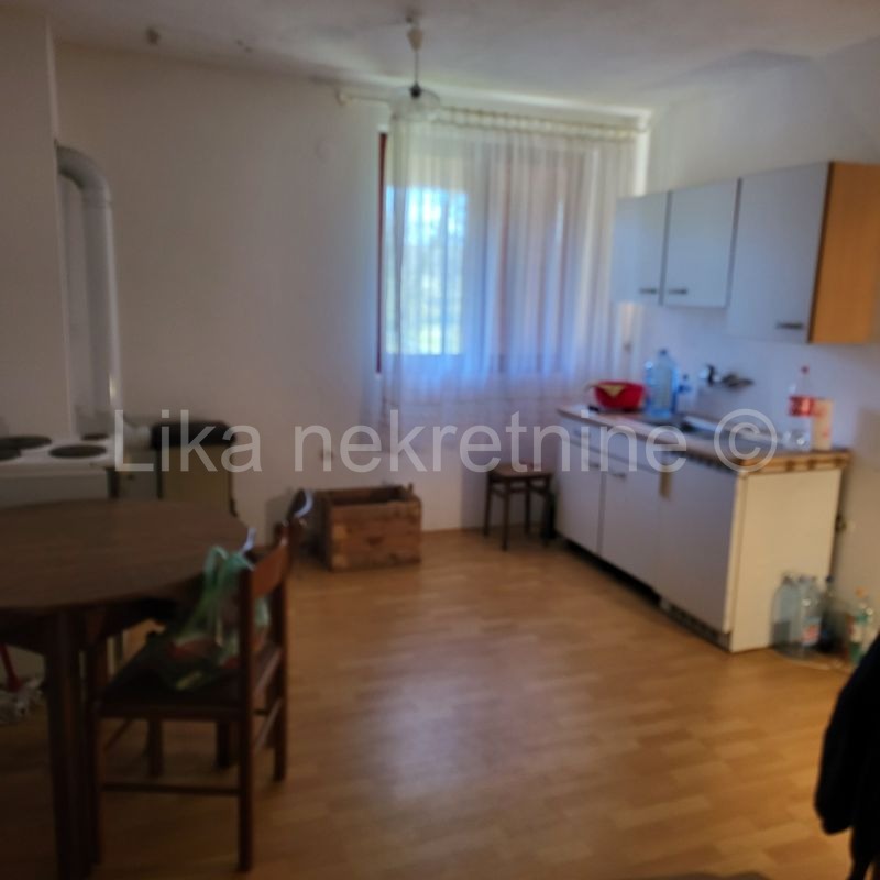 VODOTEČ ( Brinje ) - kuća prizemnica, dvorište i oranica (14)