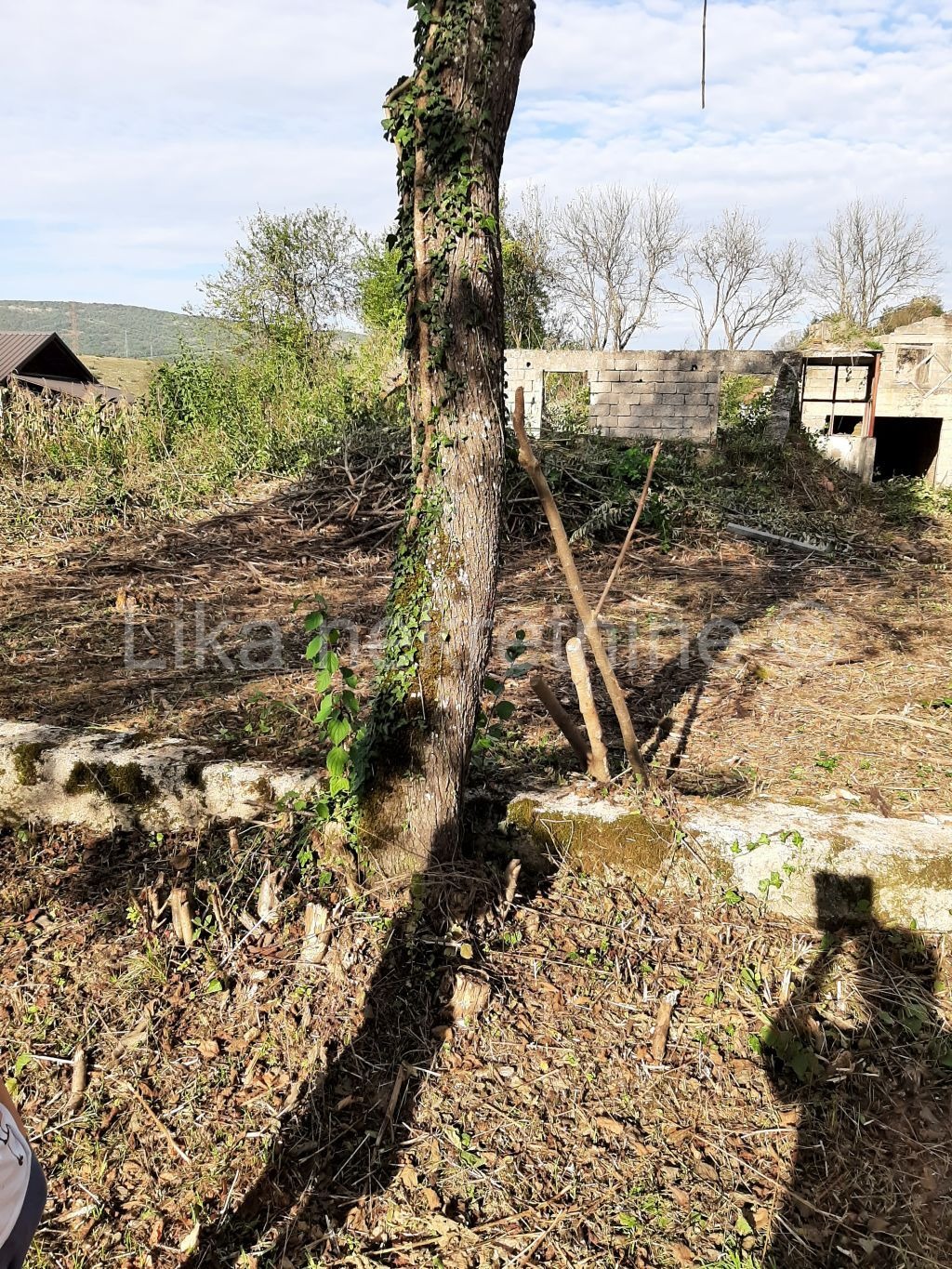 BRLOG  ( Otočac ) - kuća, dvije zgrade, dvorište i oranica (4)
