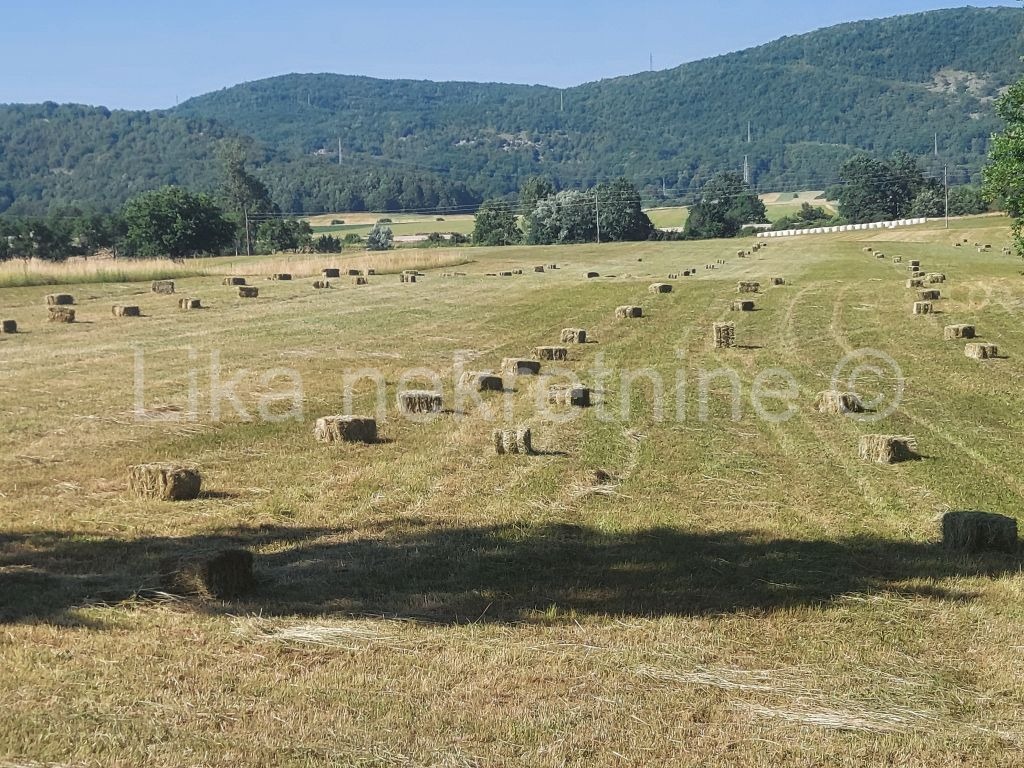 LIČKI OSIK - Vukšić - građevinsko i poljoprivredno zemljište 10003m2 (2)
