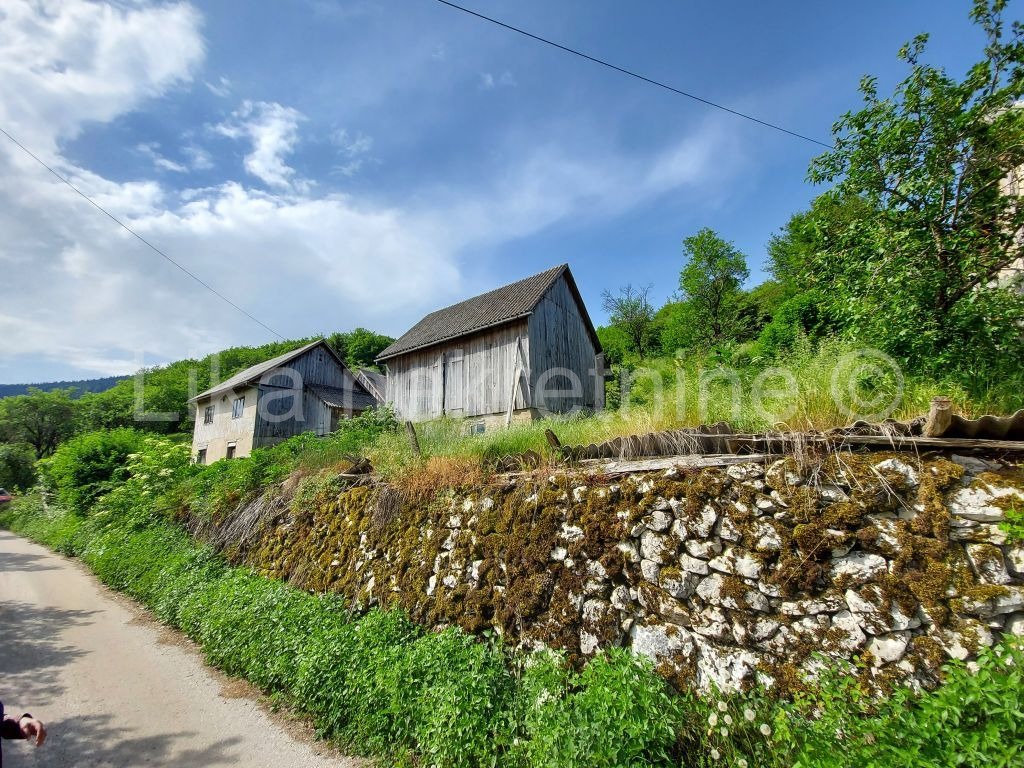 KOSINJ - Lipovo polje, starinska kuća i zemljište 33700 m2 (9)