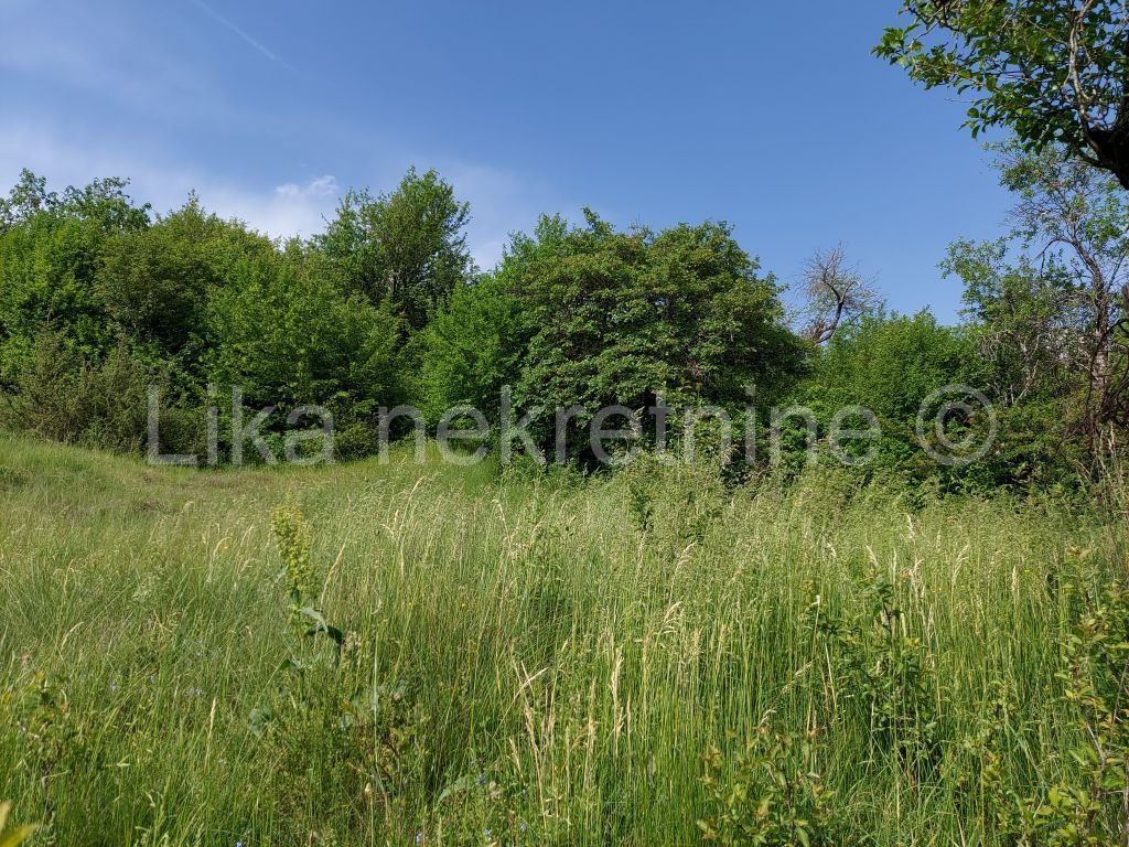 KOSINJ - Lipovo polje, starinska kuća i zemljište 33700 m2 (11)