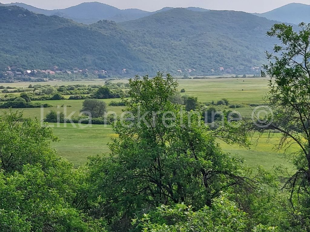 KOSINJ - Lipovo polje, starinska kuća i zemljište 33700 m2 (10)