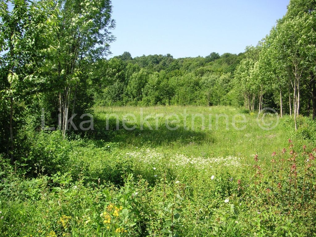 SMOLJANAC ( Plitvice) - građevinsko i poljoprivredno zemljište (5)