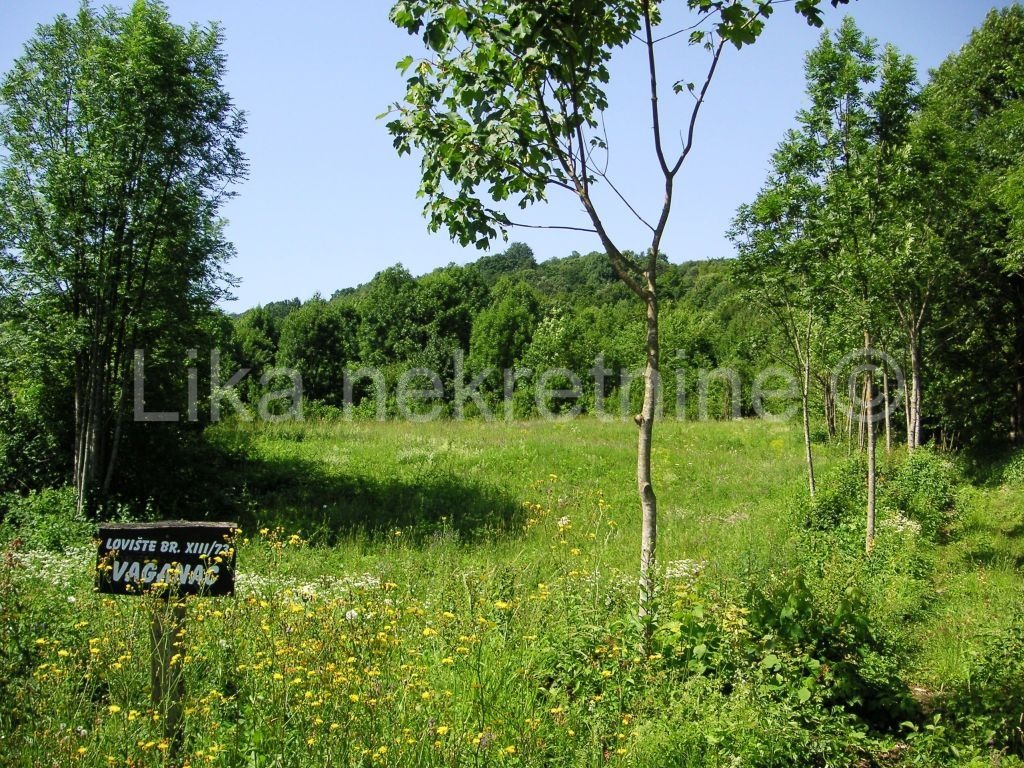 SMOLJANAC ( Plitvice) - građevinsko i poljoprivredno zemljište (6)