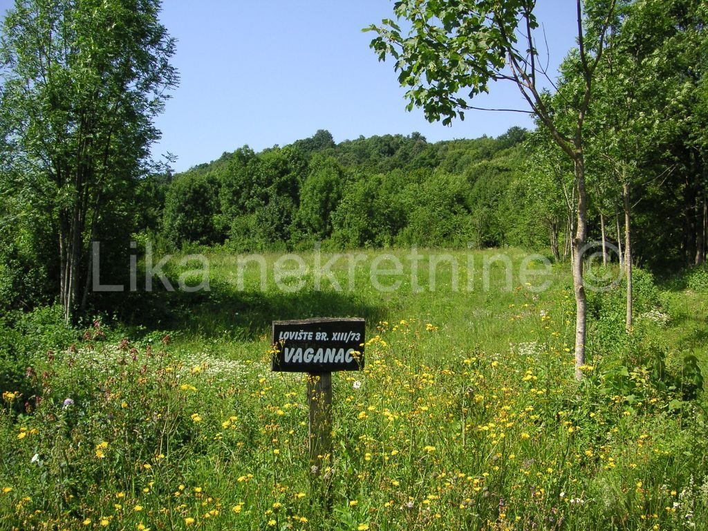 SMOLJANAC ( Plitvice) - građevinsko i poljoprivredno zemljište (3)