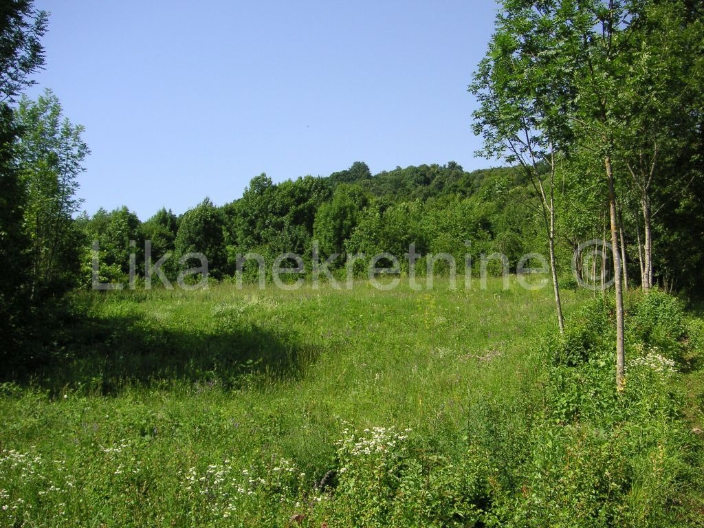 SMOLJANAC ( Plitvice) - građevinsko i poljoprivredno zemljište (4)