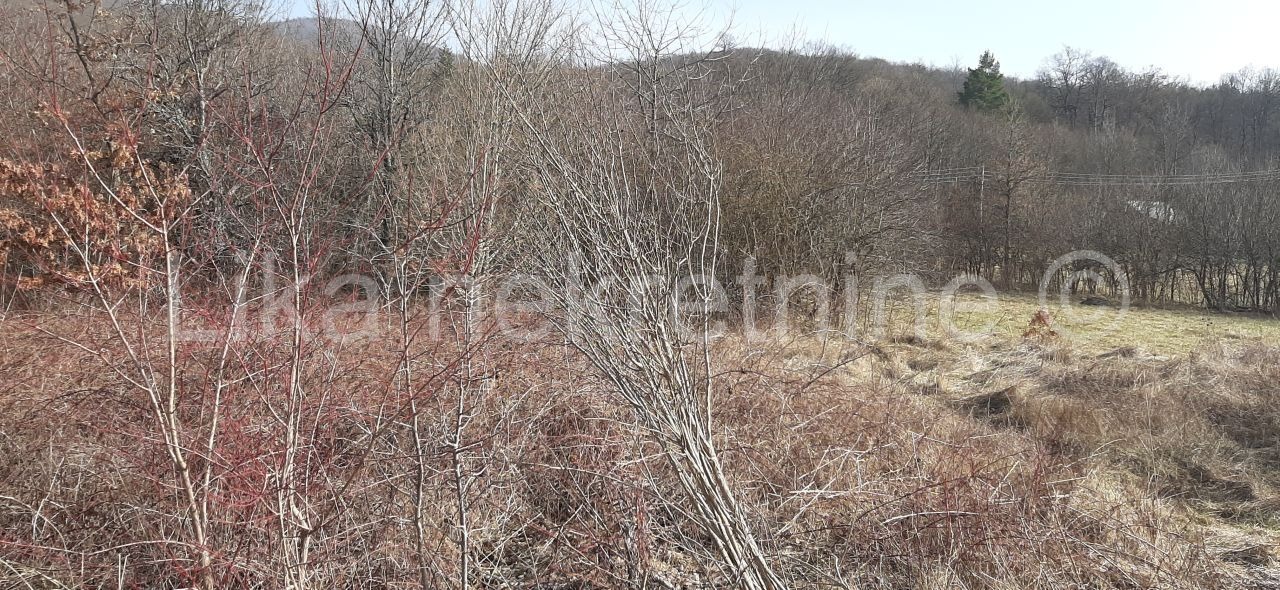OTOČAC, Sinac - poljoprivredno zemljište (3)