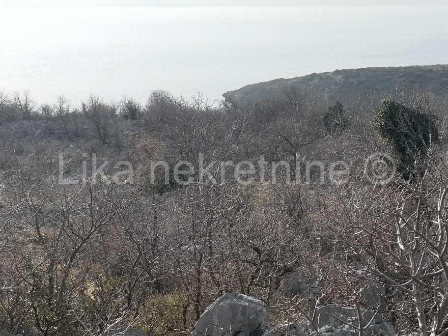 CESARICA - Trodražica, građevinsko zemljište turističke namjene (3)