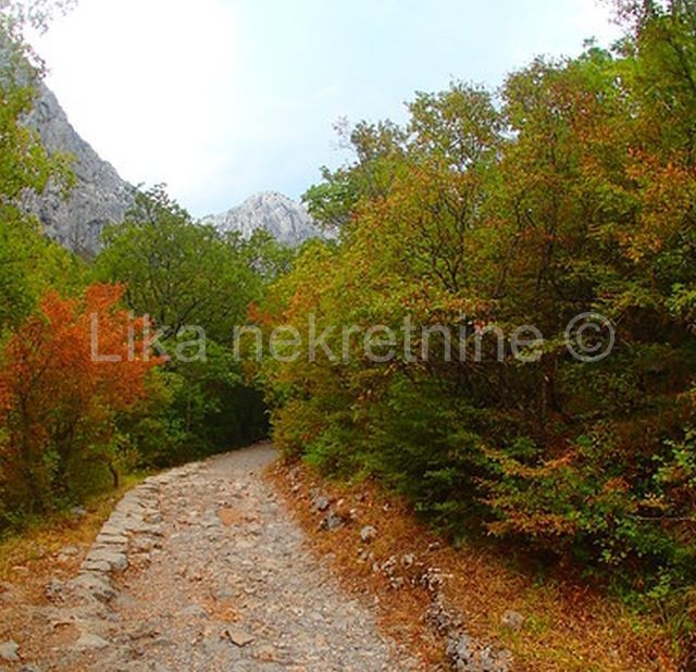 GOSPIĆ - pašnjak, oranice, livade