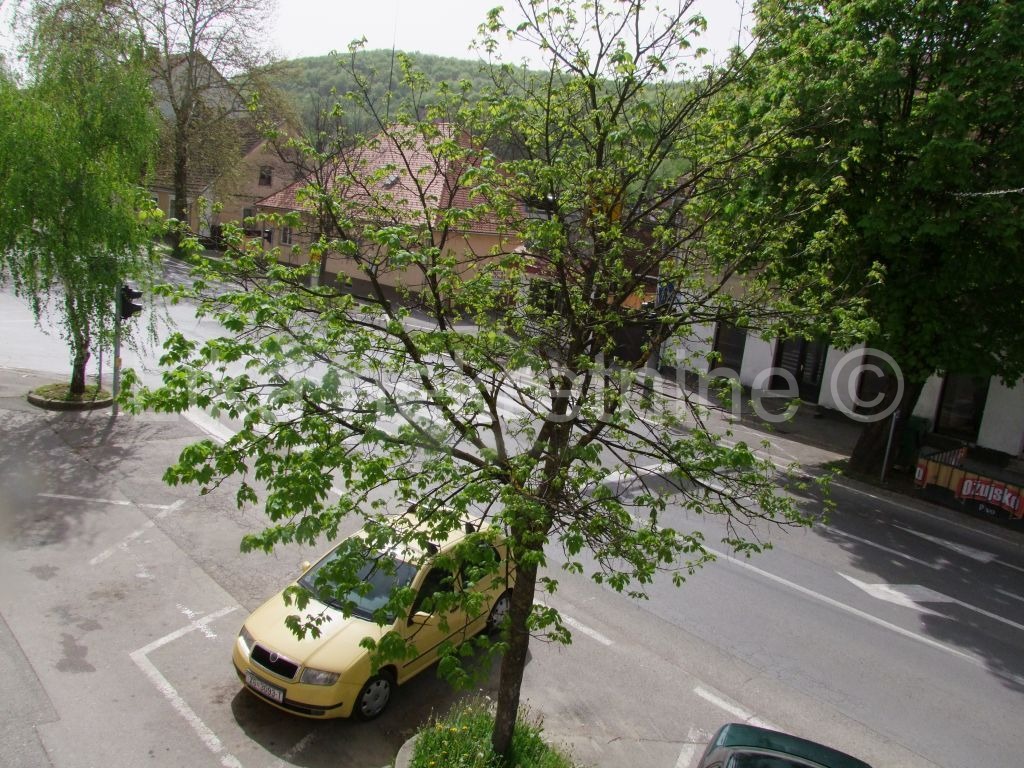 OTOČAC, centar - kuća dvokatnica sa poslovnim prostorom (18)