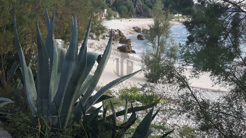 Prekrasno Zemljište Otok Silba (2300m2) - Centar naselja - 100 m do mora (3)
