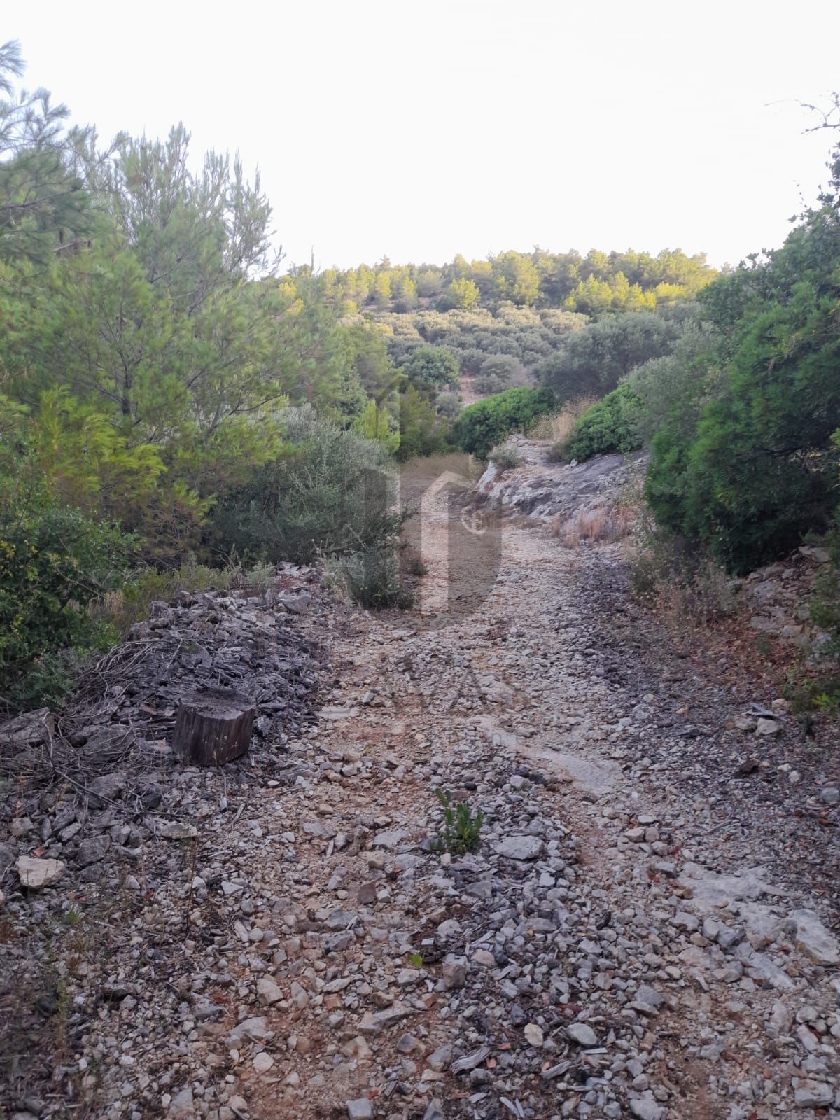 Zemljište Otok Korčula,Uvala Duboka, 60.000m2, PRILIKA! (4)
